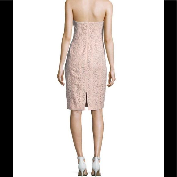 Corded Lace Sheath J. Mendel  color Blush - Picture 3 of 10